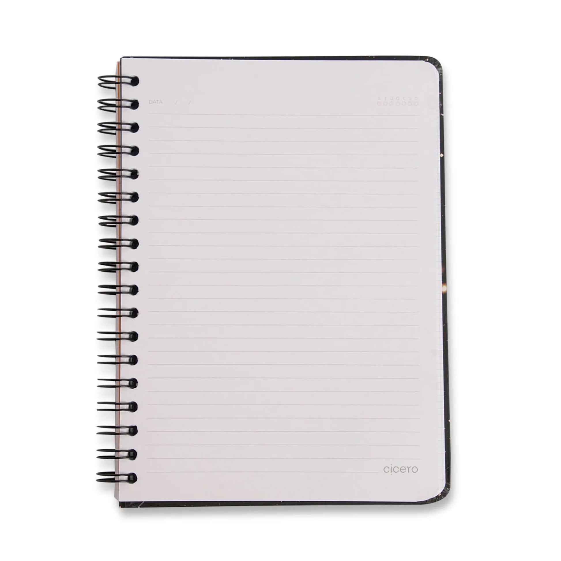 Caderno Colegial Espiral - Cicero & Fábula - Pautado - Frozão - 1 Matéria - 80 fls - lateral
