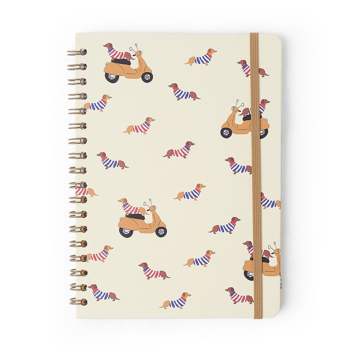 Caderno Espiral - Cícero - Petit Lambreta - Pautado 17x24 1 Matéria 80 Fls - frente