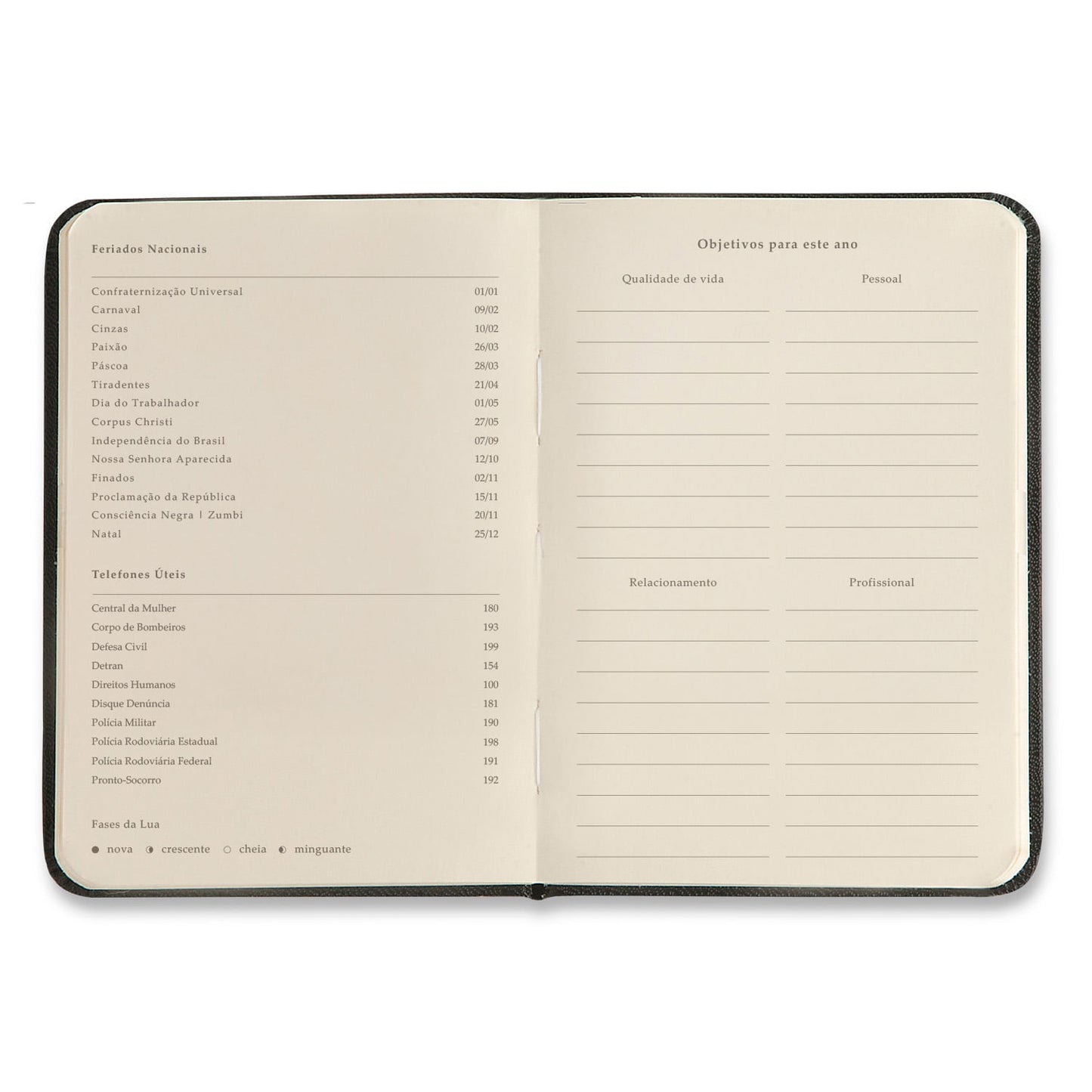Agenda Planner 2027 - Cícero - Melissa Mini Bloomy Pistache - Semanal 9x13