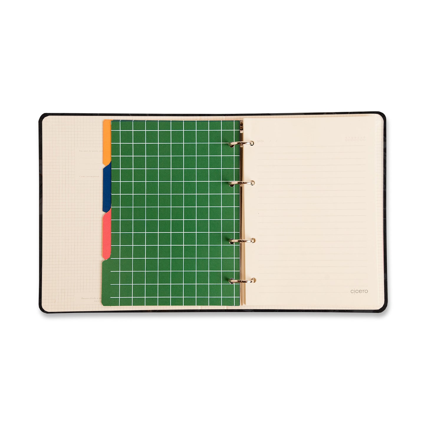 Caderno Criativo Argolado - Cícero - Libélulas Pautado & Pontado A5