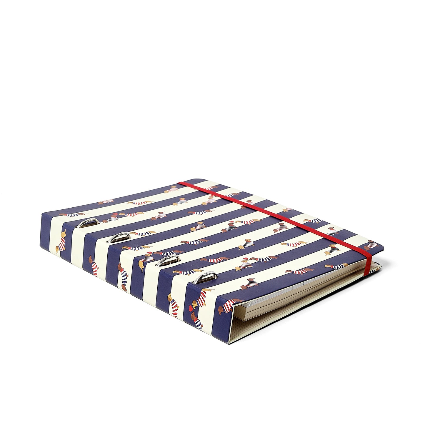 Caderno Criativo Argolado - Cícero - Praia Pautado 17x24 Cachorros