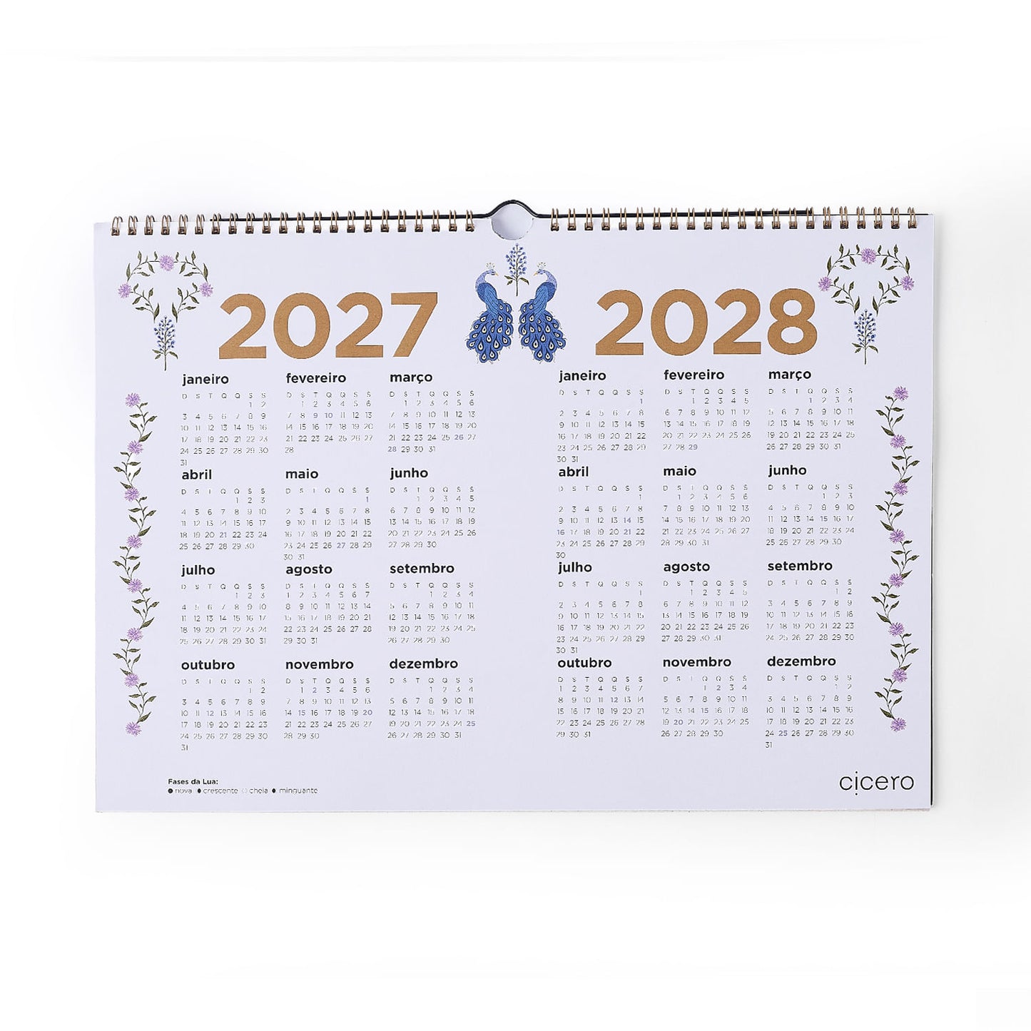 Calendário de Parede 2027 - Cícero - Relicário - A3