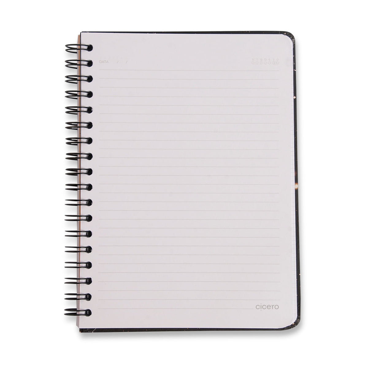 Caderno Espiral - Cícero - Noronha Atalaia - Pautado 17x24 1 Matéria 80 Fls - verso
