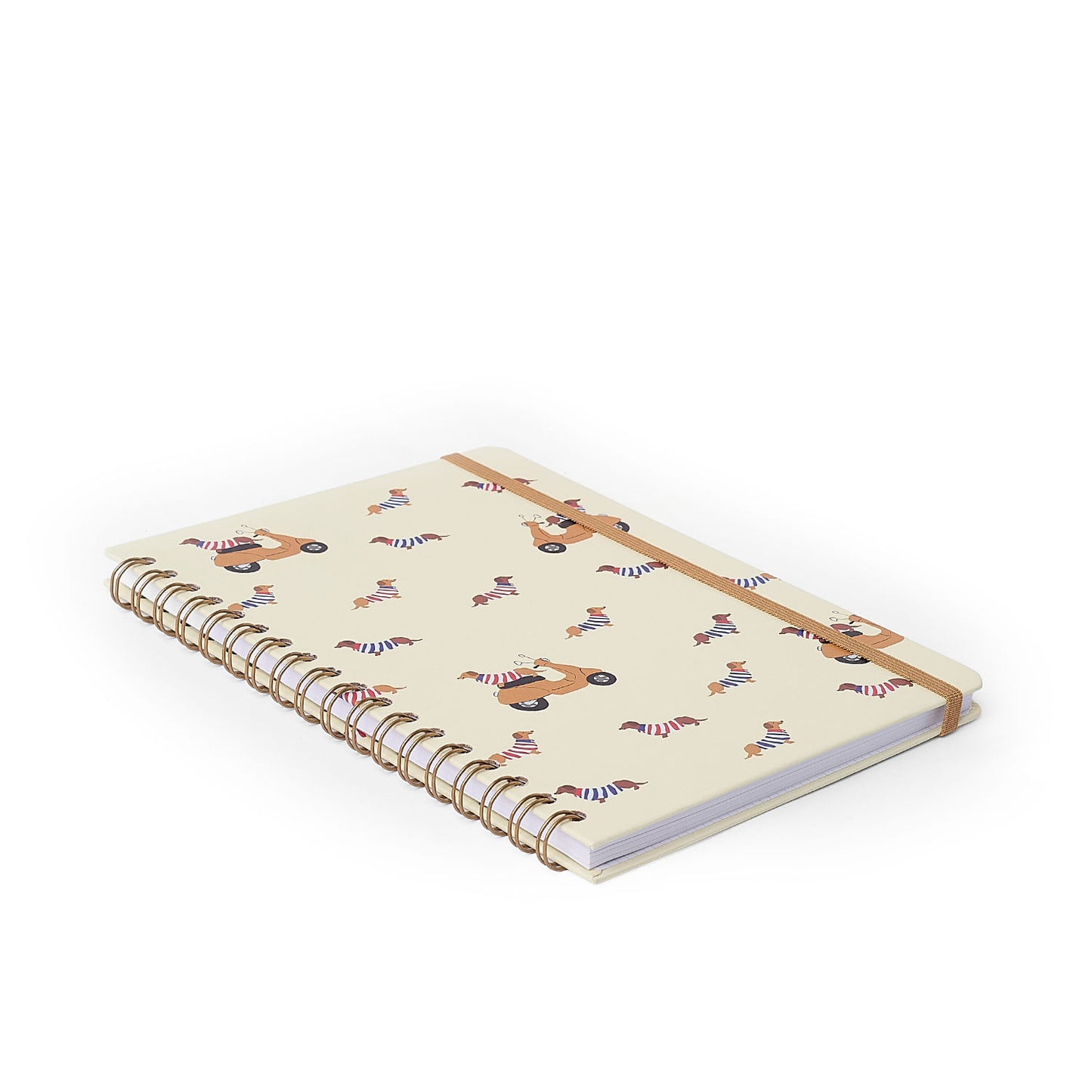 Caderno Espiral - Cícero - Petit Lambreta - Pautado 17x24 1 Matéria 80 Fls - em uso