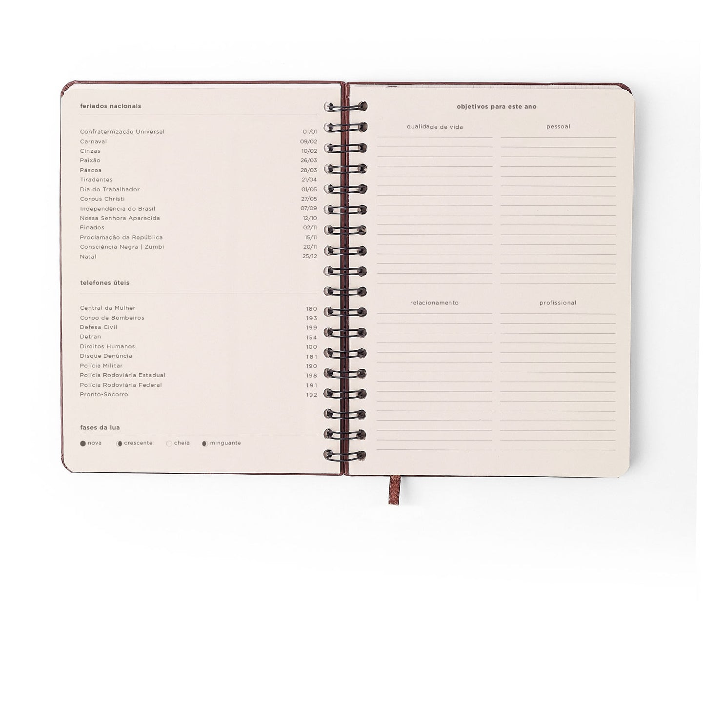 Agenda Planner Wire-o 2027 - Cícero - Petit Lambreta - Semanal Planejamento 17,3x24