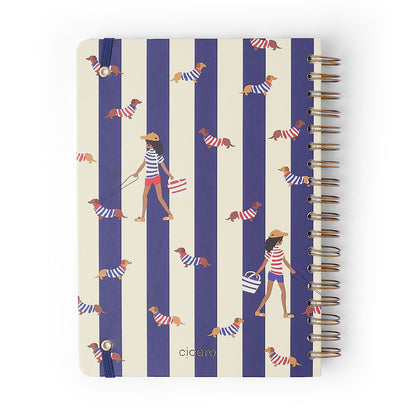 Caderno Espiral - Cícero - Petit Passeio - Pautado 17x24 10 Matérias 160 Fls - imagem 9