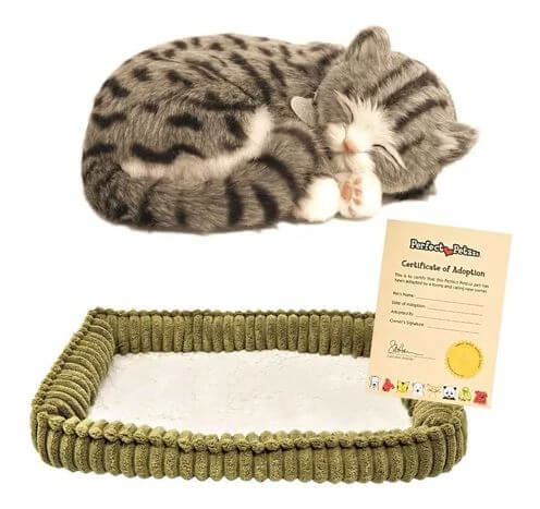 Pelúcia - Perfect Petzzz - Gato Malhado Gray Tabby - frente