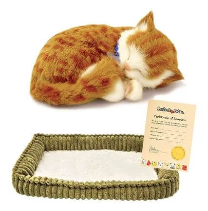 Pelúcia - Perfect Petzzz - Gato Malhado Orange Tabby - frente