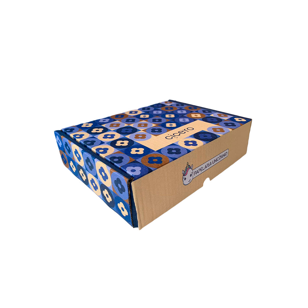 Box 01 - Cícero - Ladrilhos