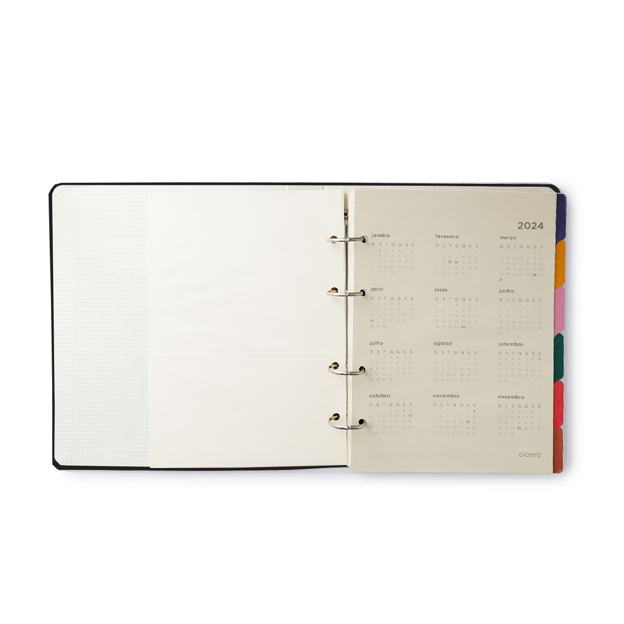 Caderno Criativo Argolado Pássaros Pautado 17x24 Floresta Tropical Branco