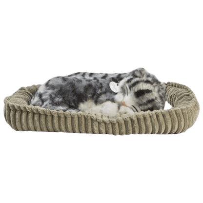 Pelúcia - Perfect Petzzz - Gato Malhado Gray Tabby