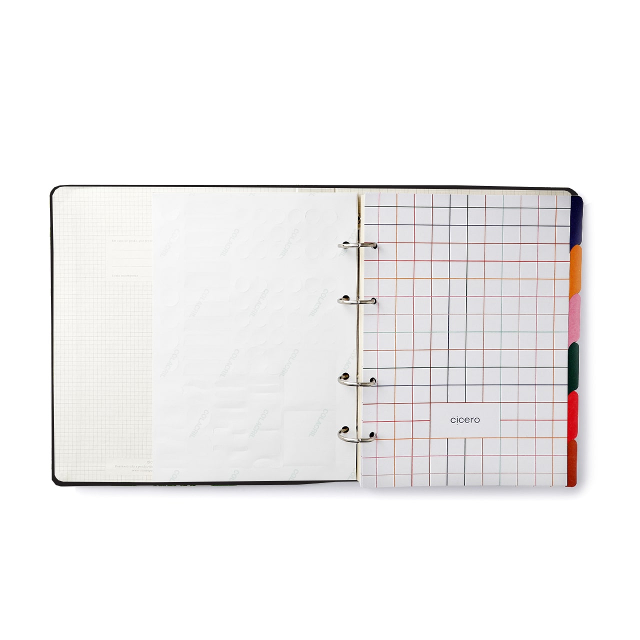 Caderno Criativo Argolado Pássaros Pautado 17x24 Floresta Tropical Branco